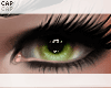 http://userimages04-akm.imvu.com/productdata/images_ffdb61eac17840a5d4a18ba699431705.gif