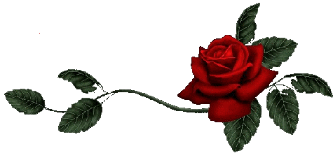 sticker_31393078_43818101