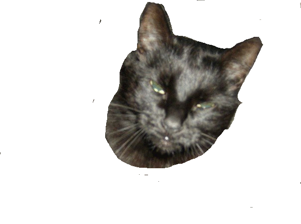 sticker_17576495_24547605