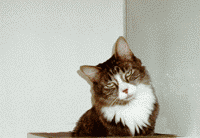 sticker_23019370_46845823
