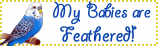 sticker_14533565_25664290