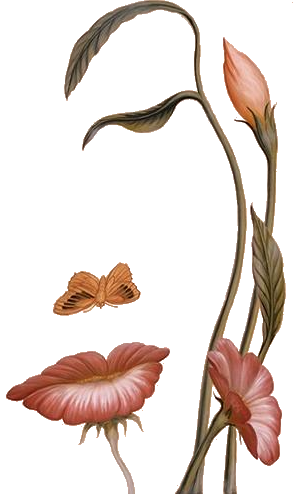 sticker_17057576_32977714