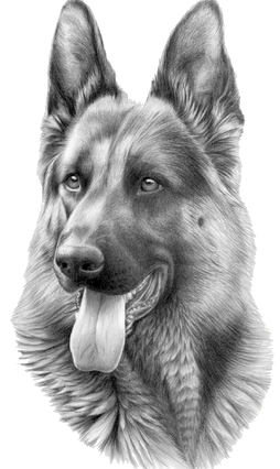 sticker_31810349_47122655