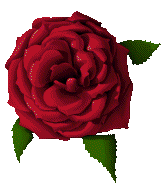 sticker_25534839_39207958