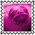 sticker_15619627_27507062