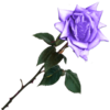 sticker_11823771_47581291