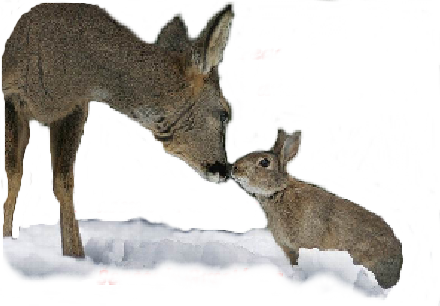 sticker_12417504_28462634