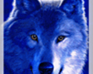 sticker_29245832_47583032