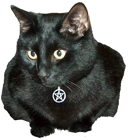 sticker_6135606_11122272