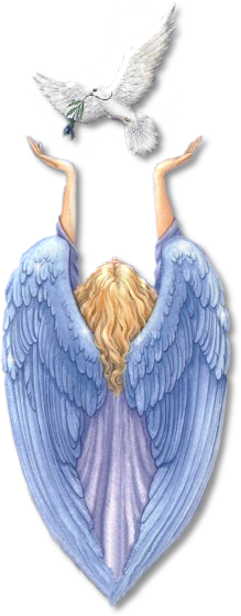 sticker_13361594_47534542