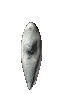 sticker_4531239_5950046