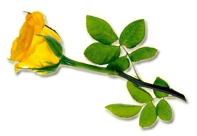 sticker_18672108_43709954