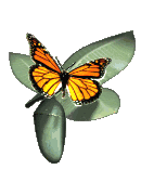 sticker_1523823_4946290