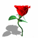 sticker_3164583_38700497