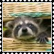 sticker_20503458_46916888