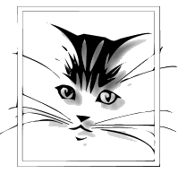 sticker_6337827_10350102