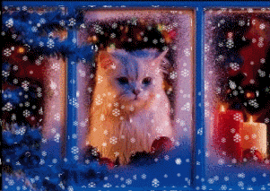 sticker_13288674_43779101
