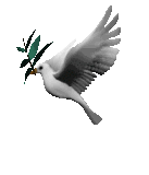 sticker_36376640_17