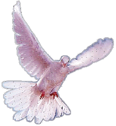sticker_28472560_45249688