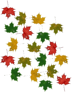 sticker_1950137_24579187