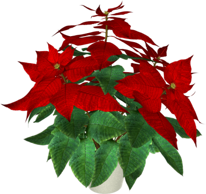 sticker_40855036_120