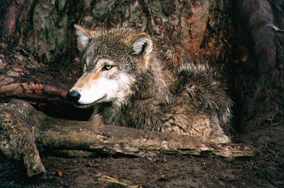 sticker_12417504_22665637
