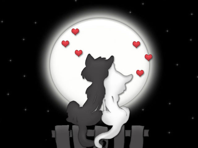 sticker_19909200_32582066