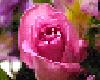 sticker_21033724_43962910