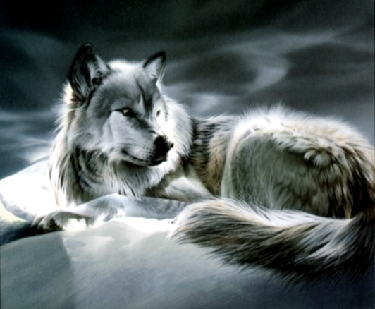 sticker_18382054_28221302