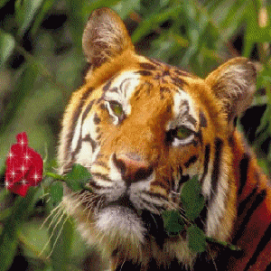 sticker_9436092_21878961