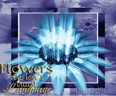 sticker_30578747_43065327