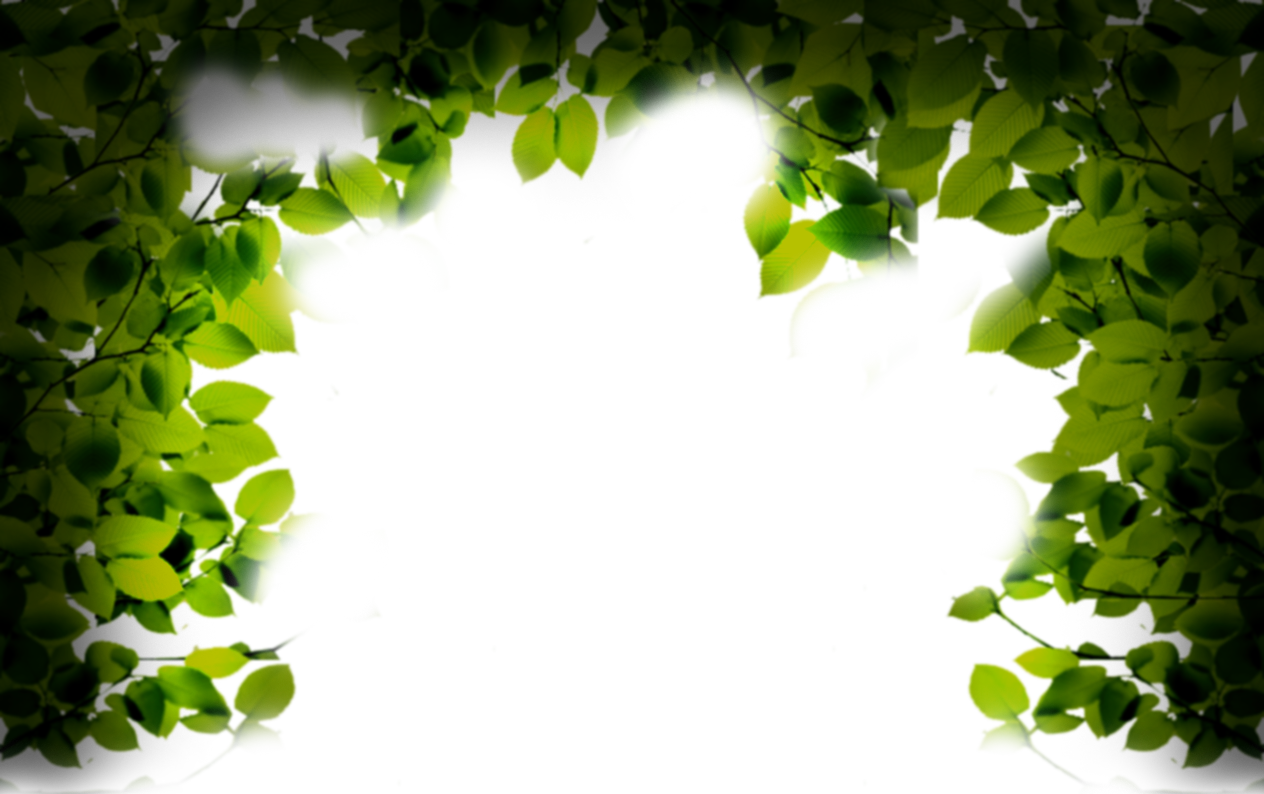 sticker_22477990_47274533