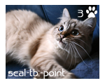 sticker_41449609_5