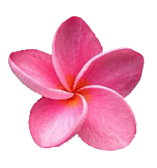 sticker_1440411_4176517