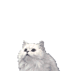 sticker_18312387_44455988