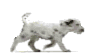 sticker_569106_13374044