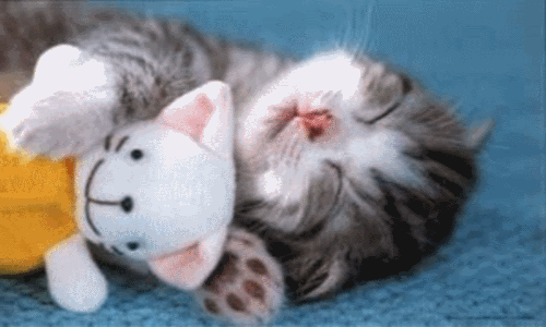 sticker_11001216_42179803