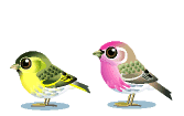 sticker_11903297_16366348