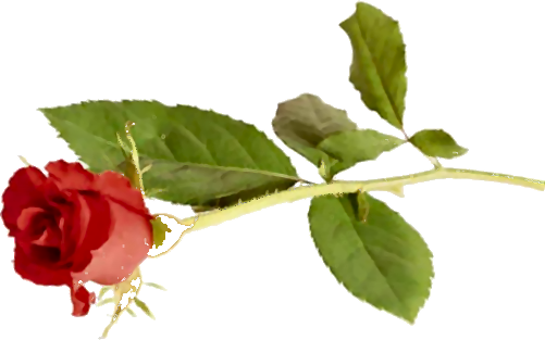 sticker_12068415_38753956