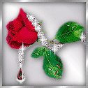 sticker_12214083_40251165