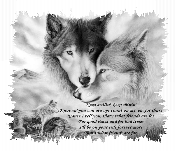 sticker_15788653_44434962