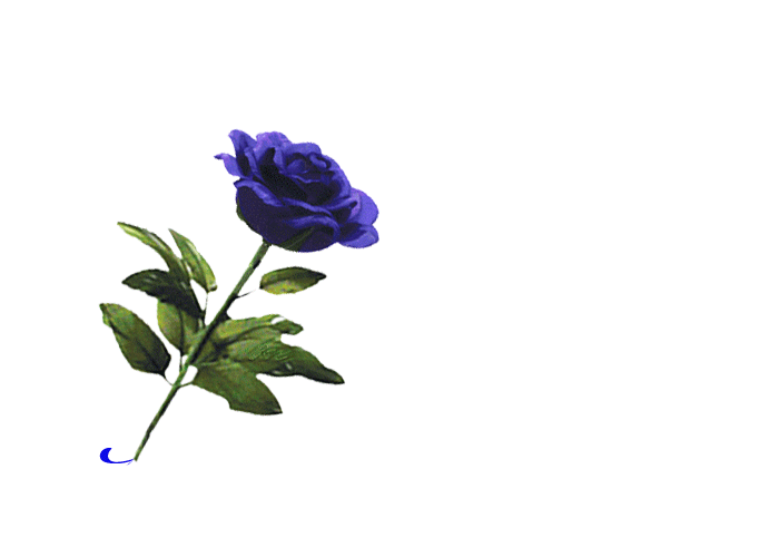 sticker_31037909_43338742