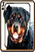 sticker_12602213_30580151