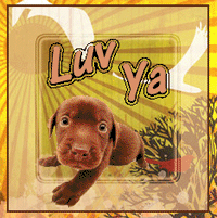 sticker_21033724_36222138