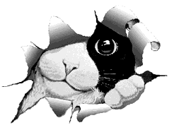 sticker_33375270_46362536