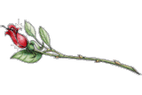 sticker_48489417_49