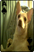 sticker_12602213_30809064