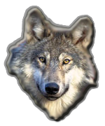 sticker_8232472_13734870