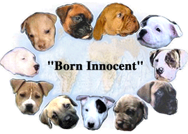 sticker_12417504_33600733