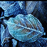sticker_28282022_41888384